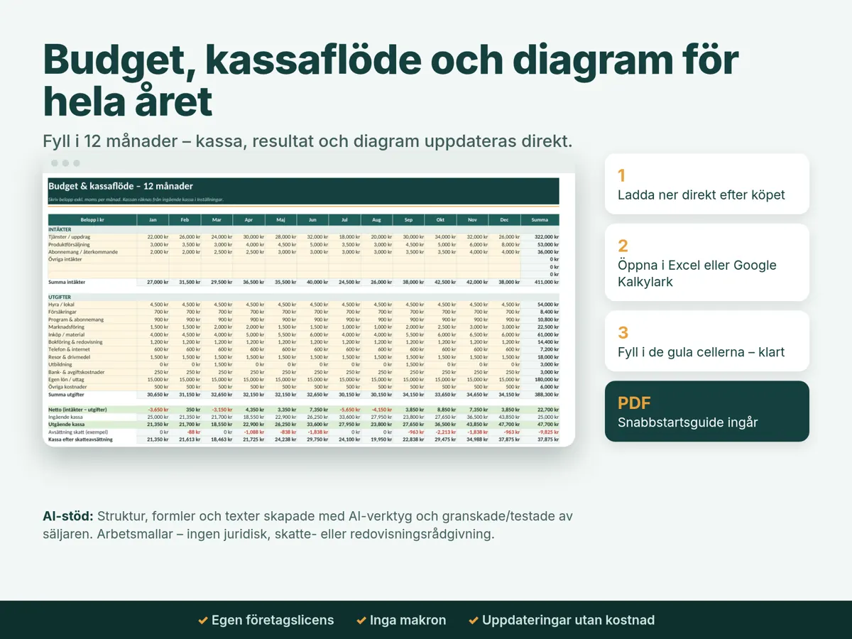 Budget och kassaflöde för tolv månader med intäkter, utgifter, utgående kassa och netto per månad